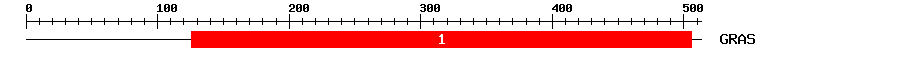 Signature Domain