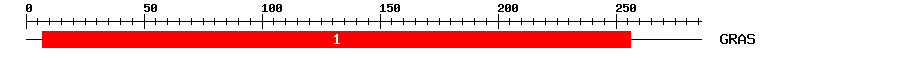 Signature Domain
