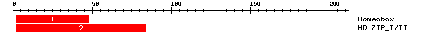 Signature Domain