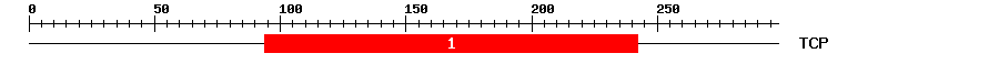 Signature Domain