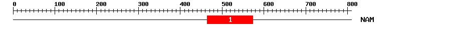 Signature Domain