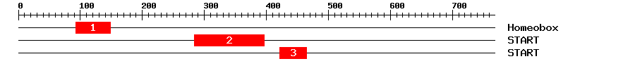 Signature Domain