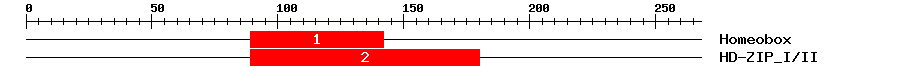 Signature Domain