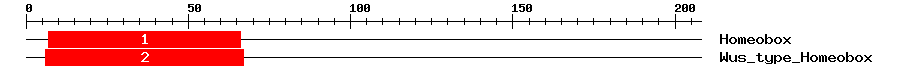 Signature Domain