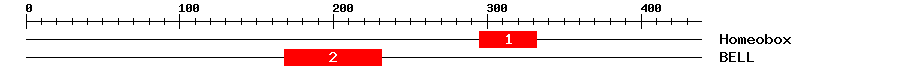 Signature Domain
