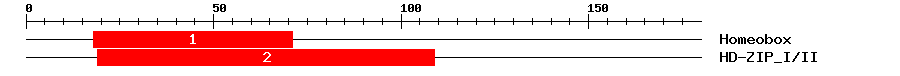 Signature Domain