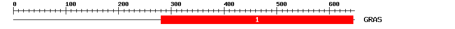 Signature Domain