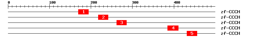 Signature Domain