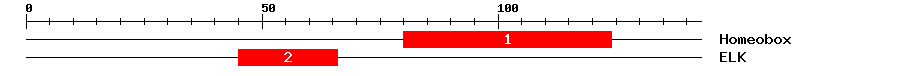 Signature Domain