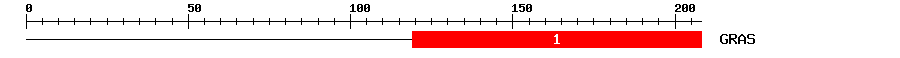 Signature Domain