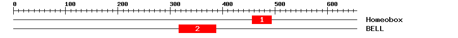Signature Domain