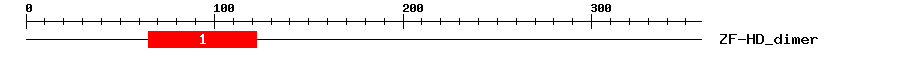 Signature Domain