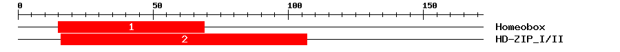 Signature Domain