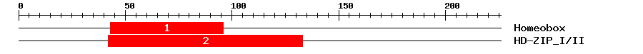 Signature Domain