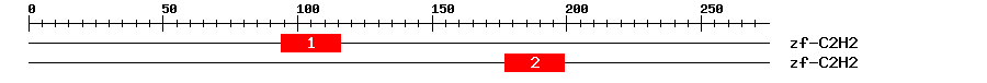Signature Domain