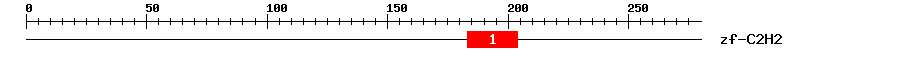 Signature Domain