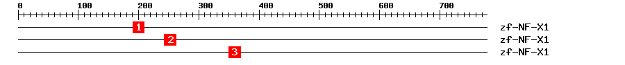 Signature Domain