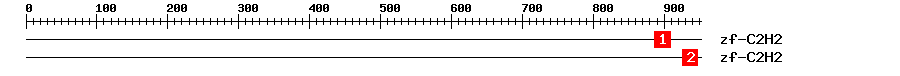 Signature Domain