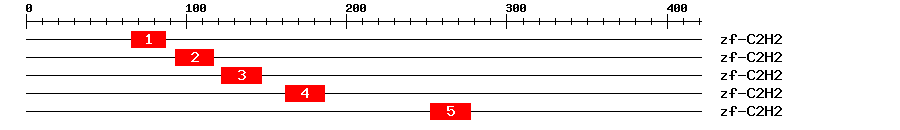 Signature Domain