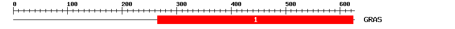 Signature Domain