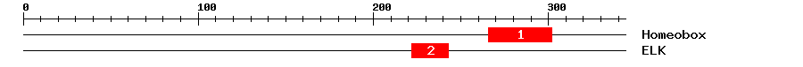Signature Domain