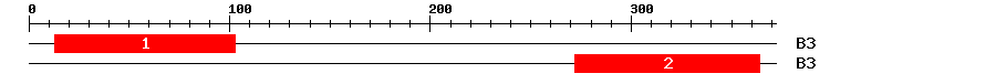 Signature Domain