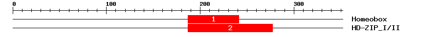 Signature Domain