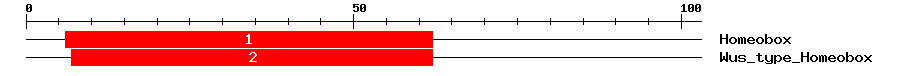 Signature Domain