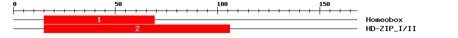 Signature Domain