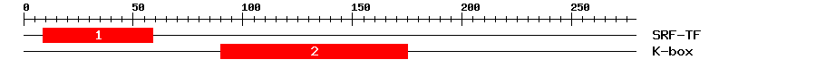 Signature Domain