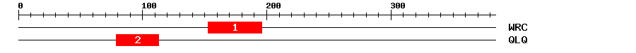 Signature Domain