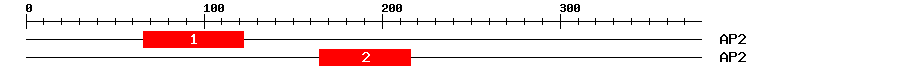 Signature Domain