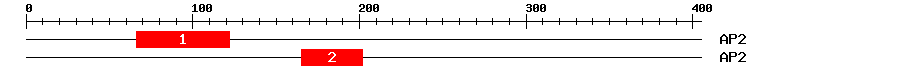 Signature Domain