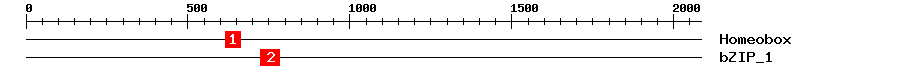 Signature Domain