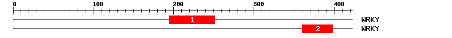 Signature Domain