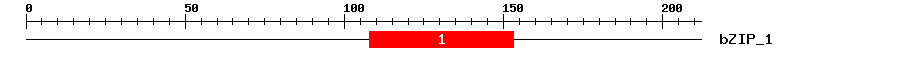 Signature Domain