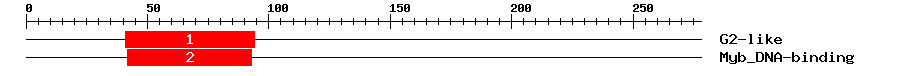 Signature Domain