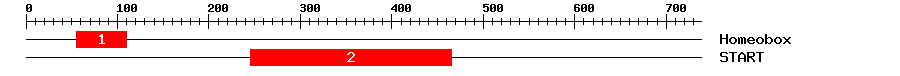 Signature Domain