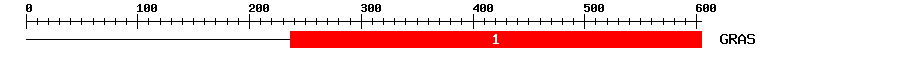 Signature Domain