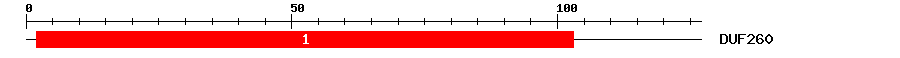 Signature Domain