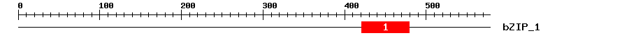 Signature Domain