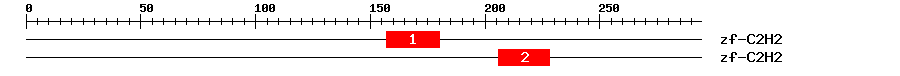 Signature Domain