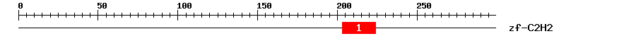 Signature Domain