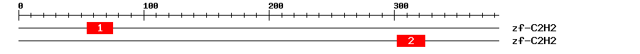 Signature Domain