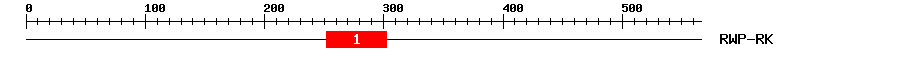 Signature Domain