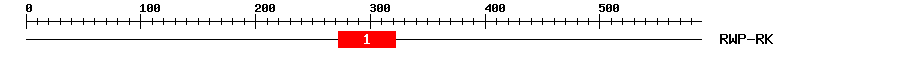 Signature Domain