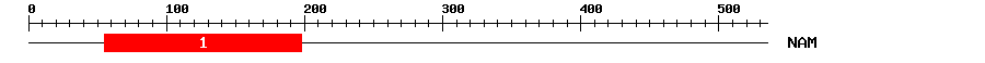 Signature Domain