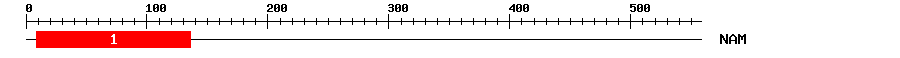 Signature Domain