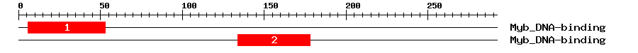 Signature Domain