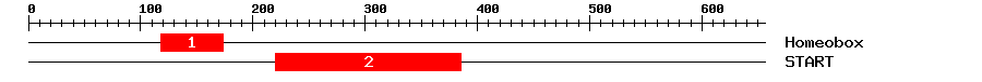 Signature Domain